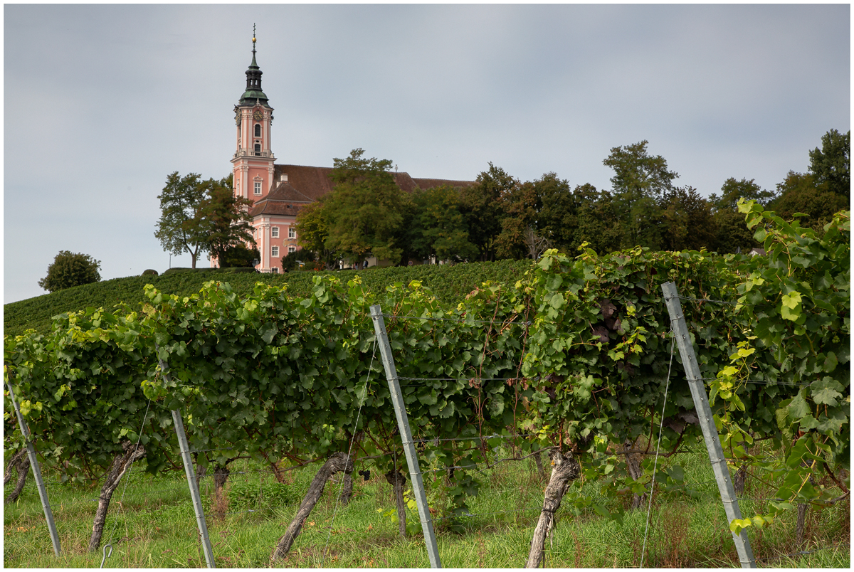 Bodensee 2 - Basilika Birnau 