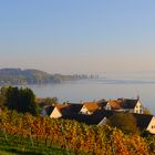 Bodensee 2