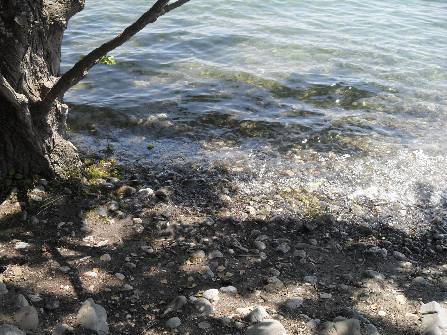 Bodensee [2]