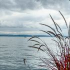 Bodensee #2