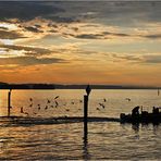 Bodensee 2011-24 "Morgens um Sieben"