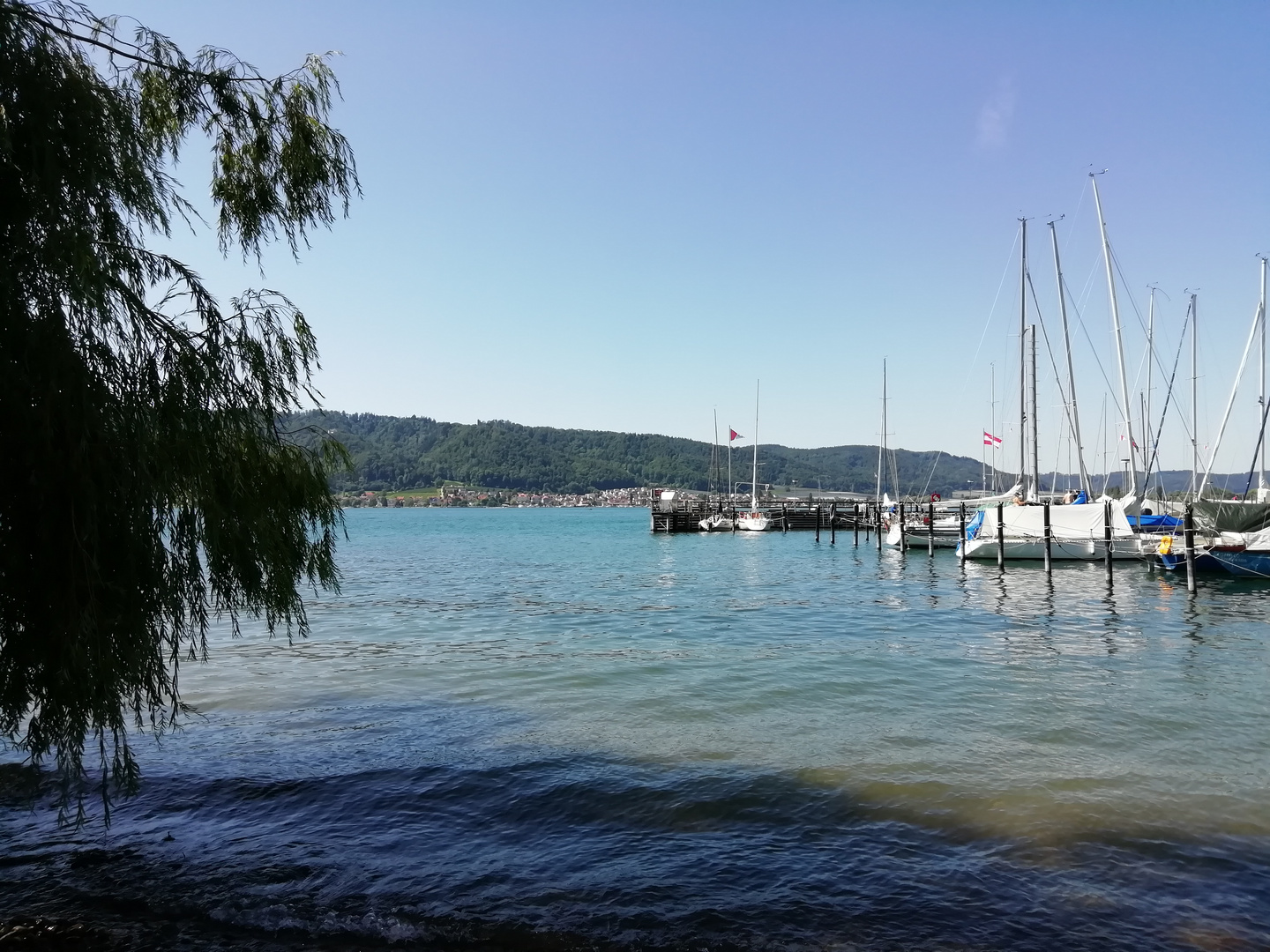 Bodensee Foto & Bild landschaft, bach, fluss & see, see, teich