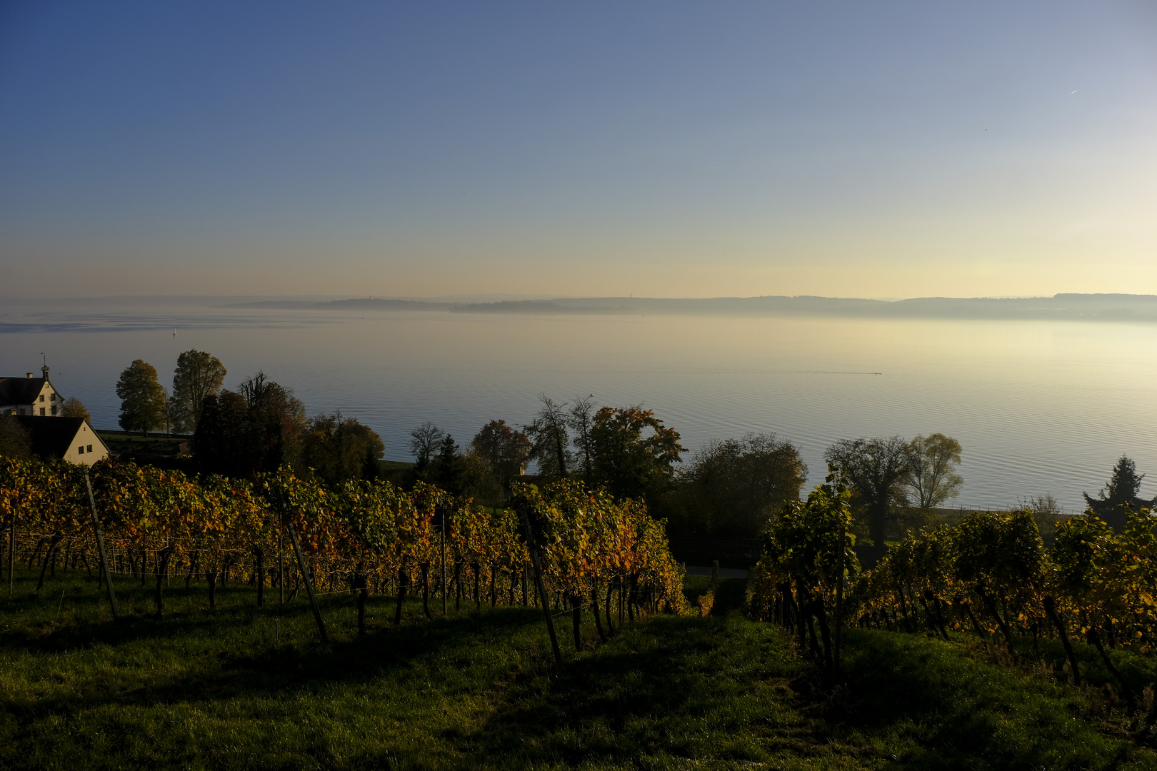 Bodensee 21