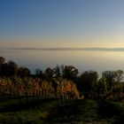 Bodensee 21