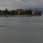 ...Bodensee