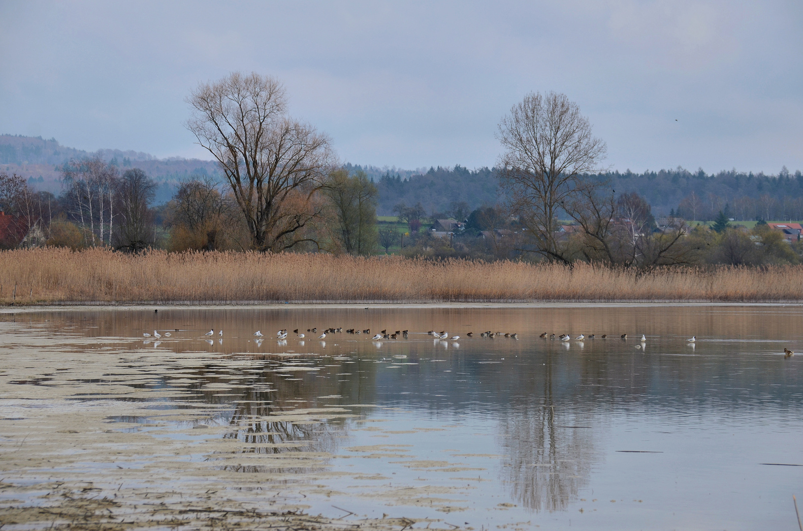 Bodensee