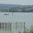 Bodensee 3