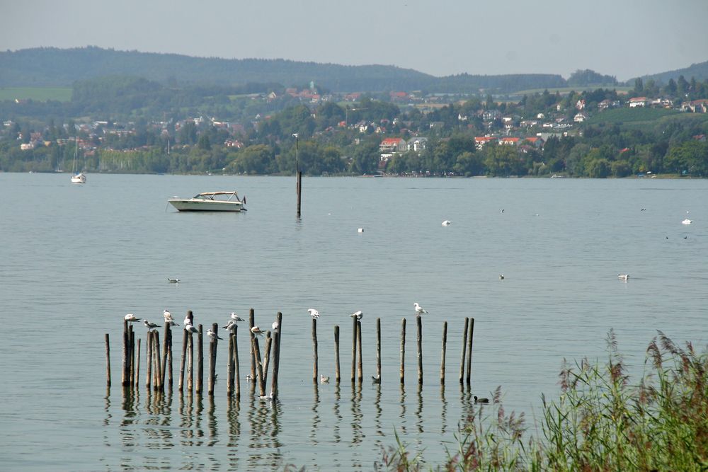 Bodensee 3