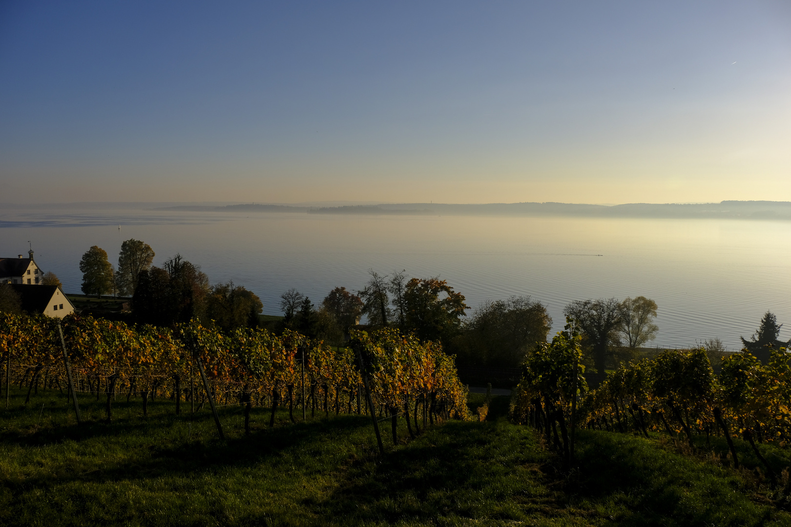 Bodensee 3