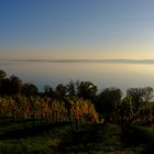 Bodensee 3