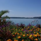 Bodensee 3