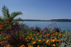 Bodensee 3