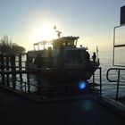 Bodensee #3