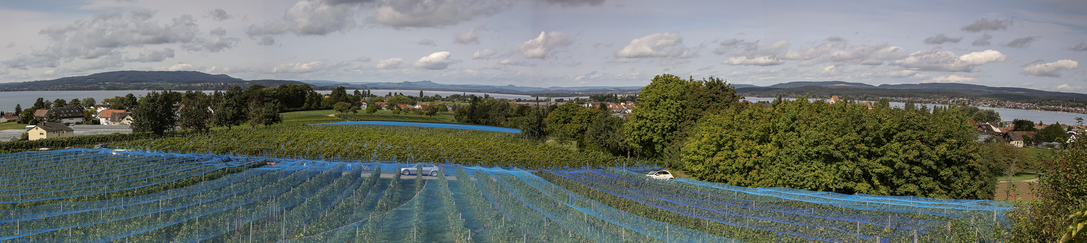 Bodensee 3 -  Insel Reichenau 