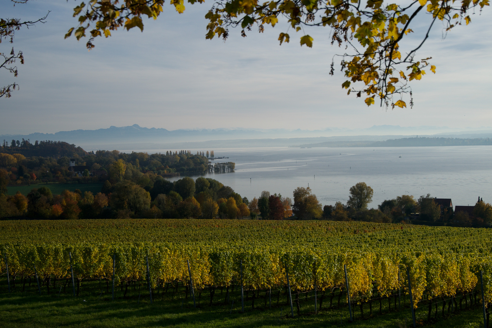 Bodensee