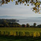 Bodensee