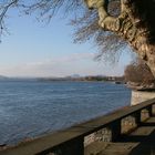 bodensee