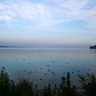 Bodensee 5