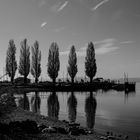 Bodensee 5