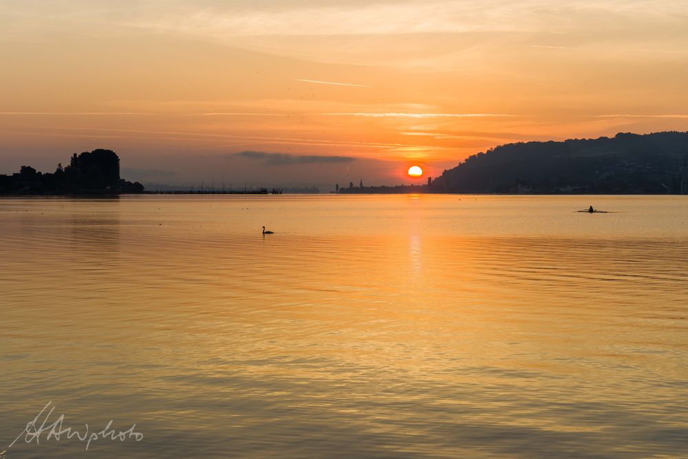 Bodensee 5 - Höri