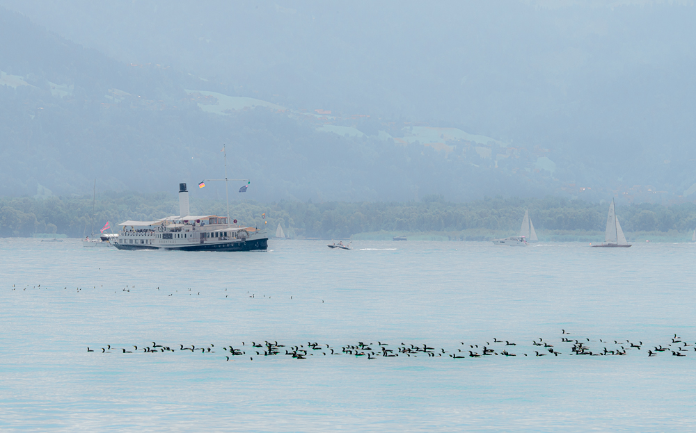 Bodensee 58