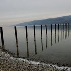 Bodensee