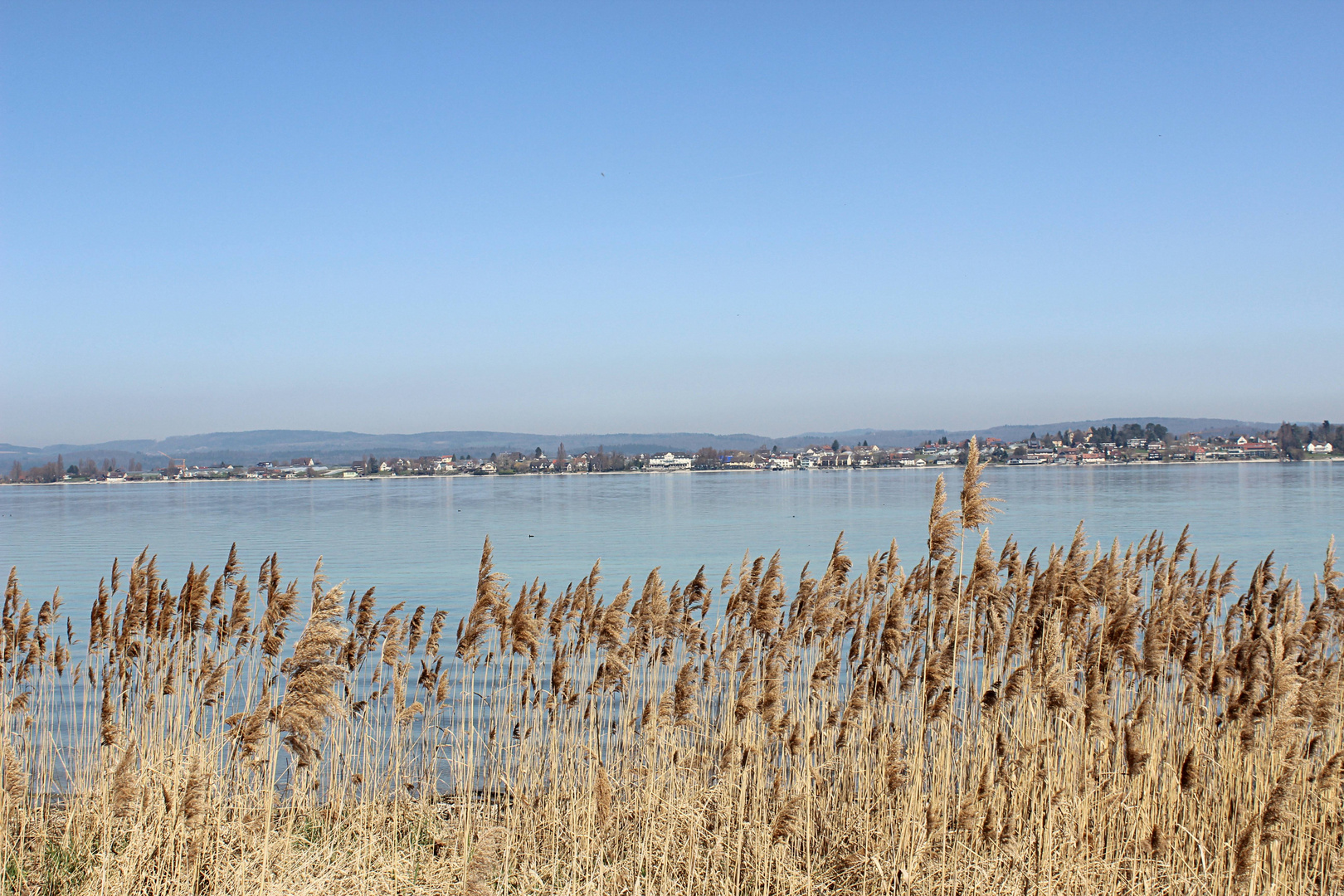 Bodensee ...