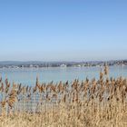 Bodensee ...