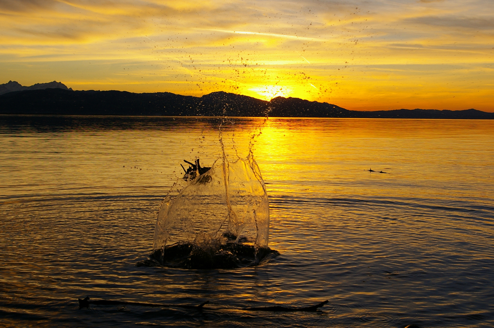 Bodensee