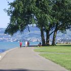 Bodensee