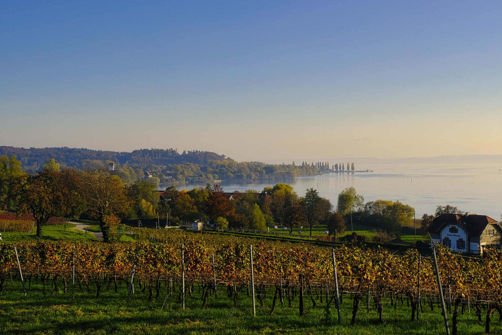 Bodensee 7