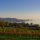 Bodensee 7