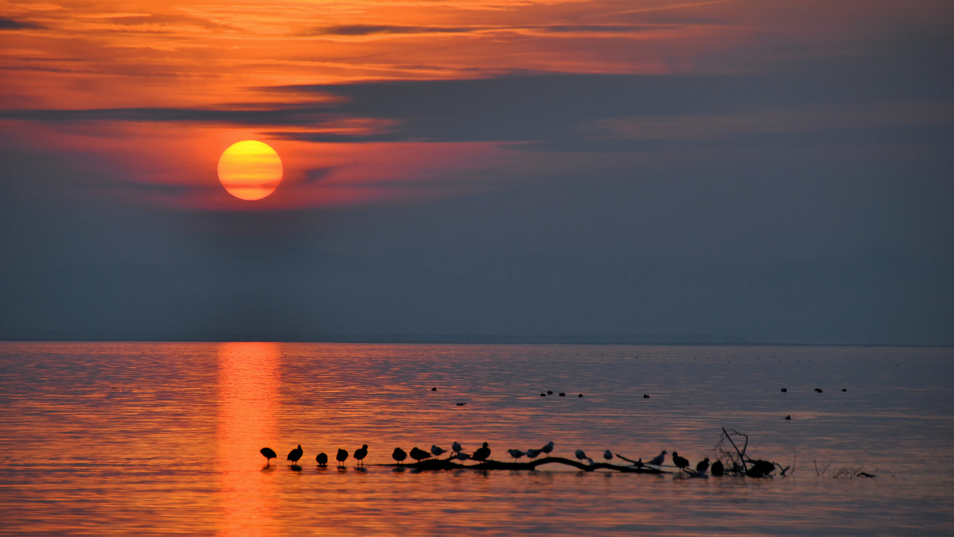 Bodensee