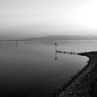 Bodensee