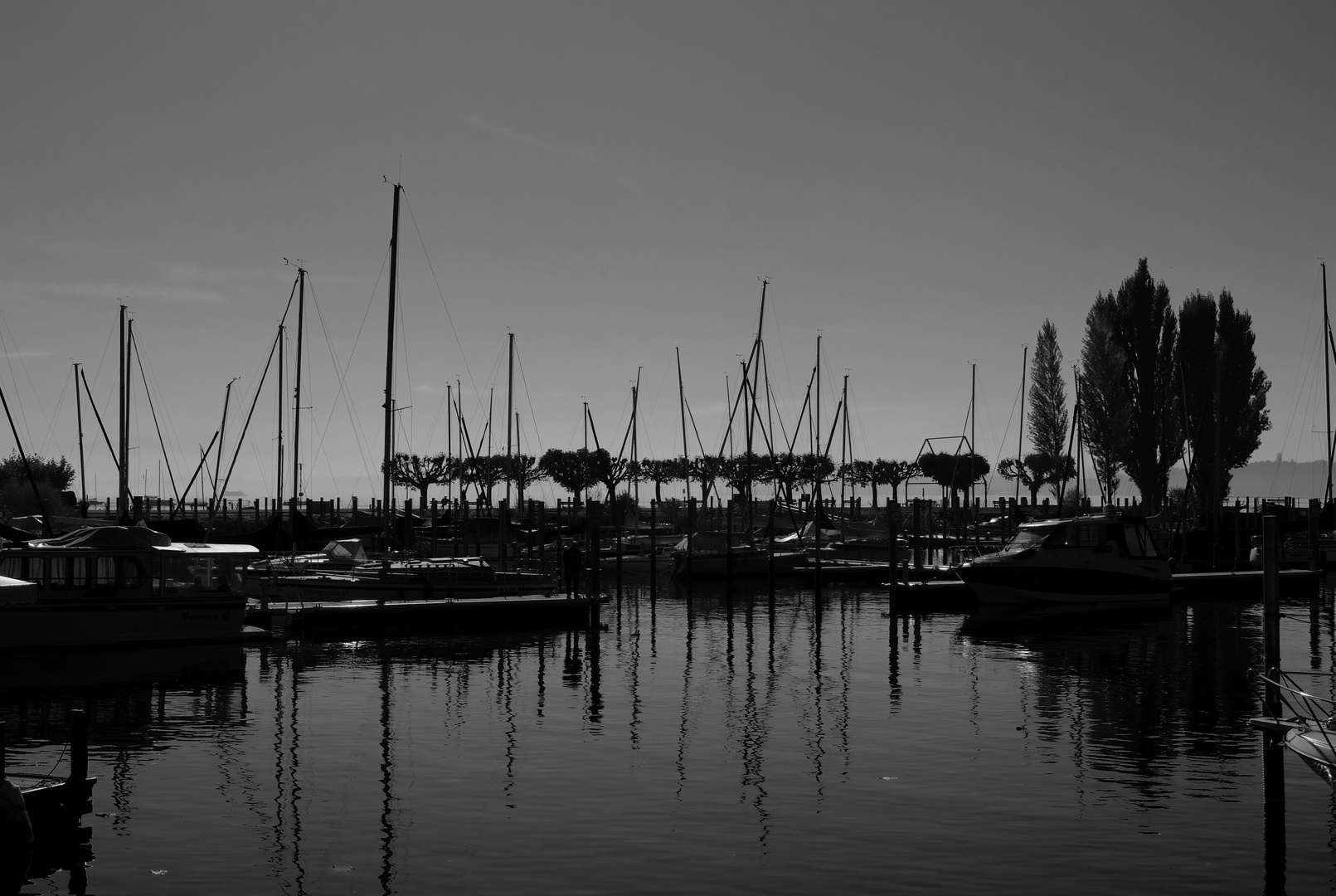 Bodensee 8