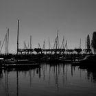 Bodensee 8