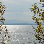 Bodensee