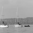 Bodensee