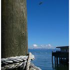 Bodensee