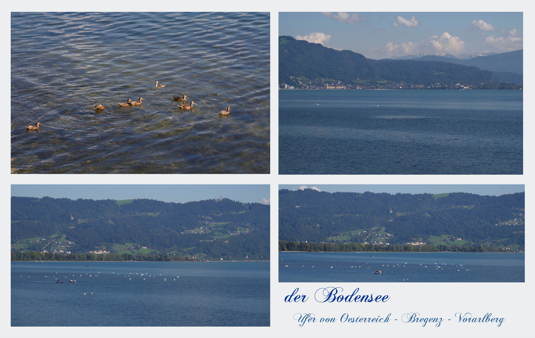 ...Bodensee 