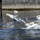 Bodensee-Airport - Starts und Landungen im Sekundentakt