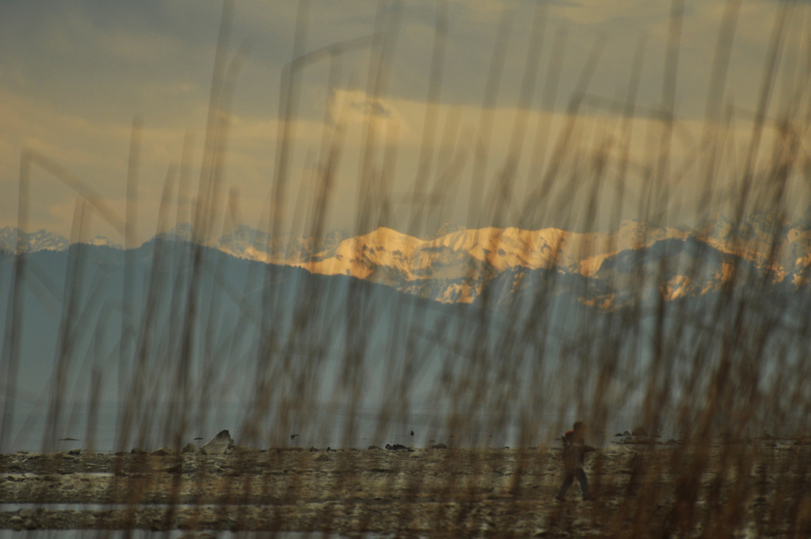 Bodensee -- Altnau