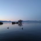 Bodensee am frühen Morgen 