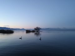 Bodensee am frühen Morgen 