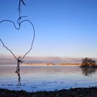 Bodensee am frühen Morgen 