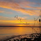 Bodensee am frühen Morgen