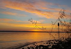 Bodensee am frühen Morgen