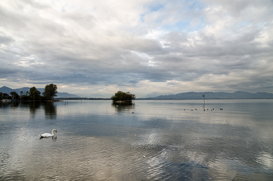 Bodensee am Morgen