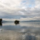 Bodensee am Morgen