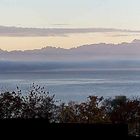 Bodensee am Morgen